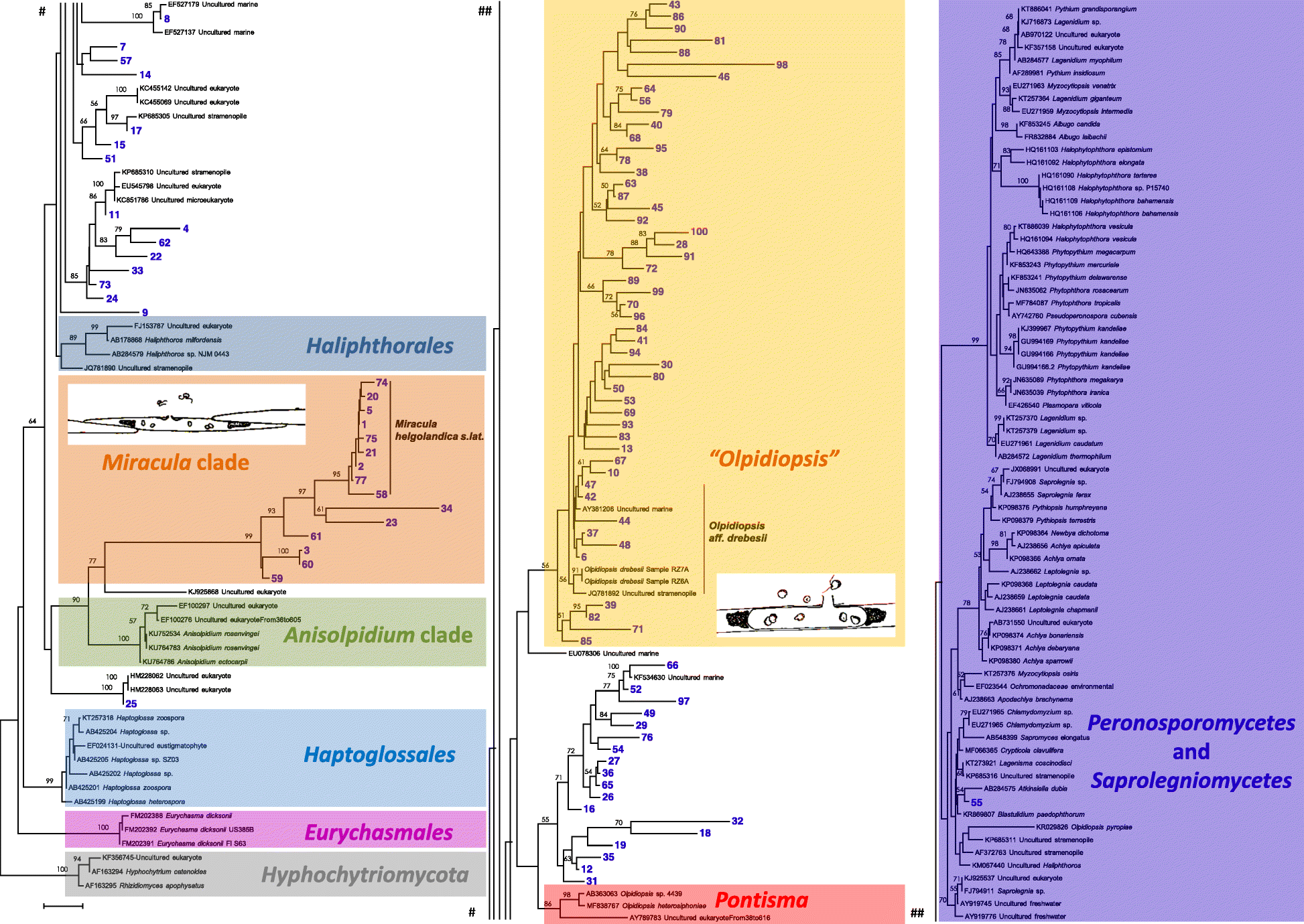 Fig. 4