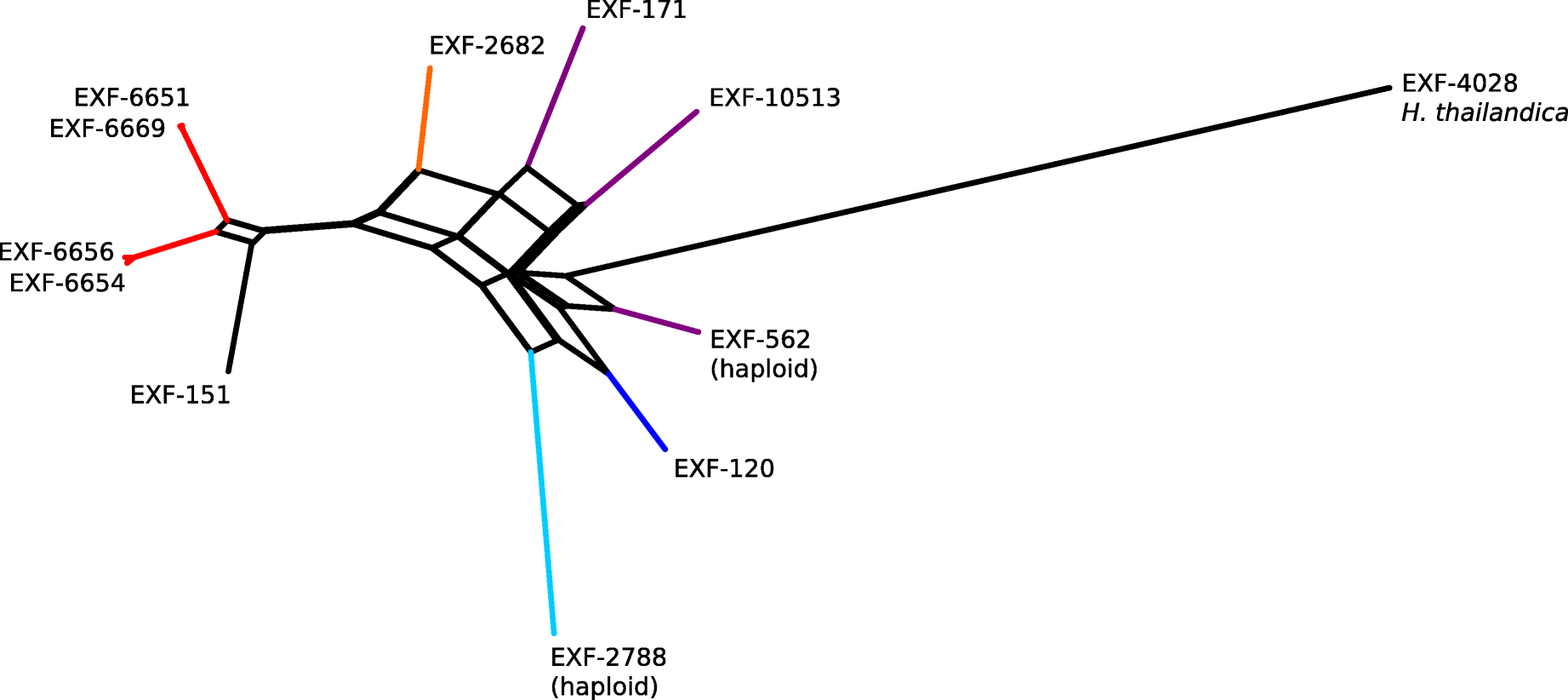 Fig. 5