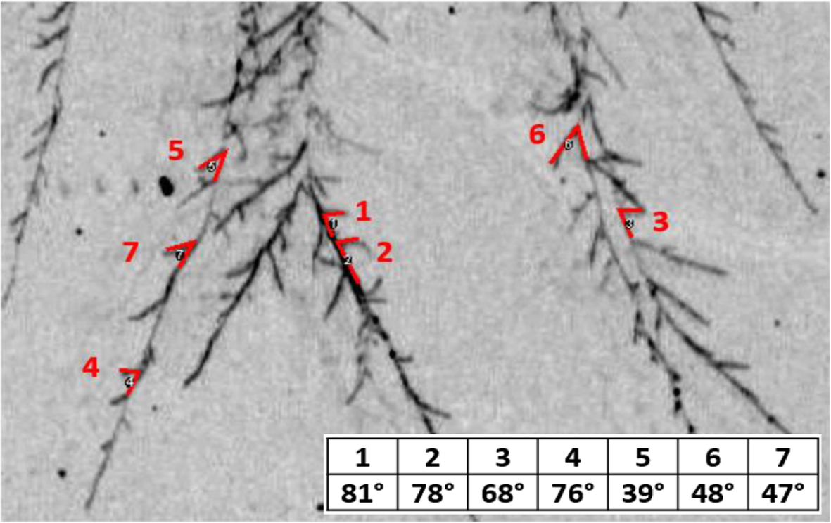 Fig. 8