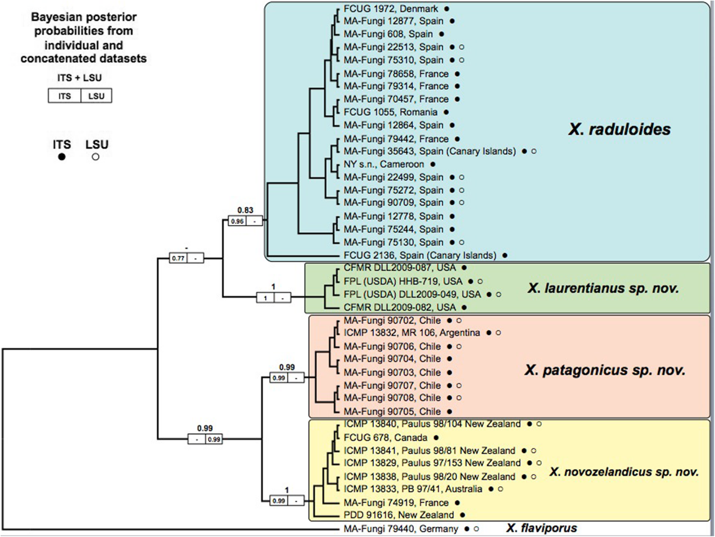 Fig. 2