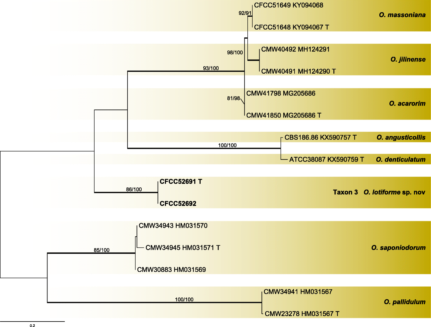 Fig. 10