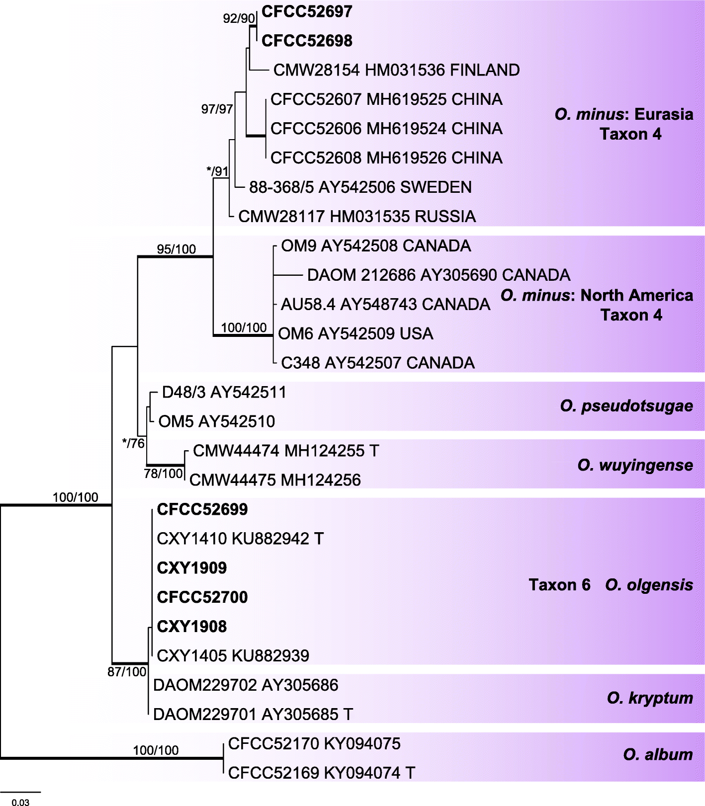 Fig. 5