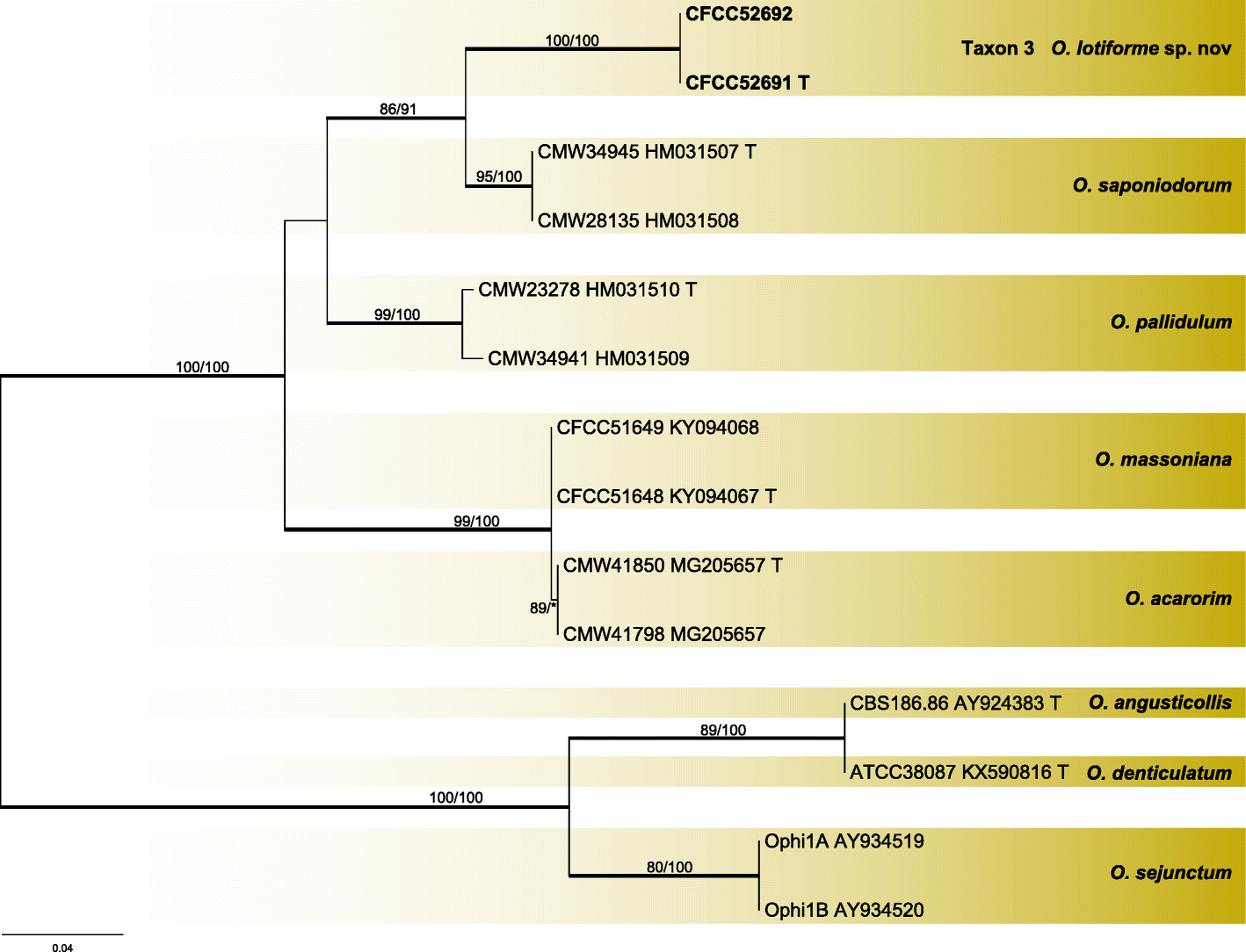 Fig. 9