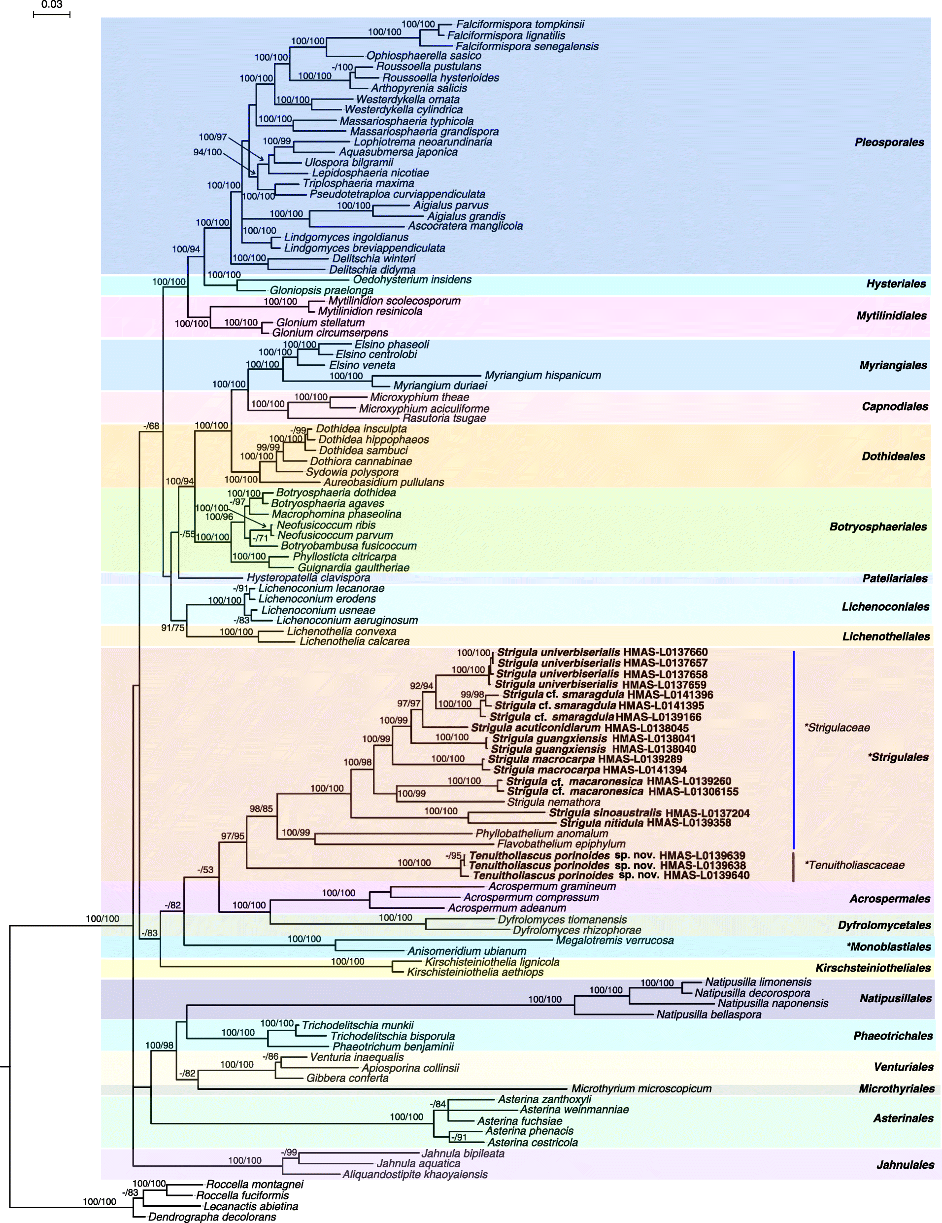 Fig. 3