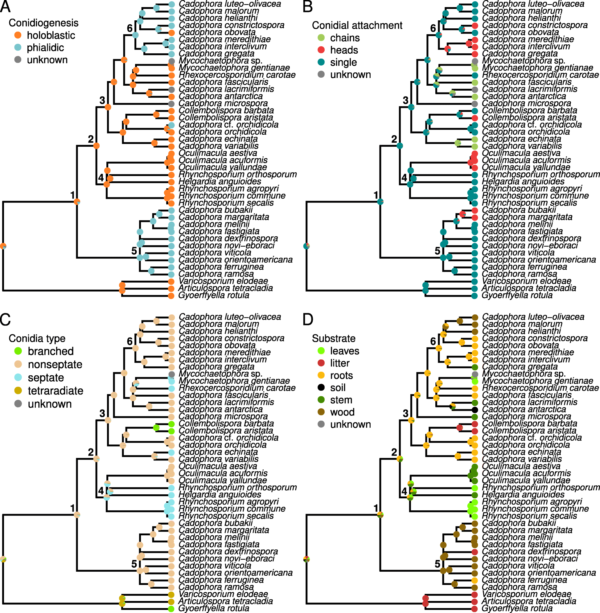 Fig. 2