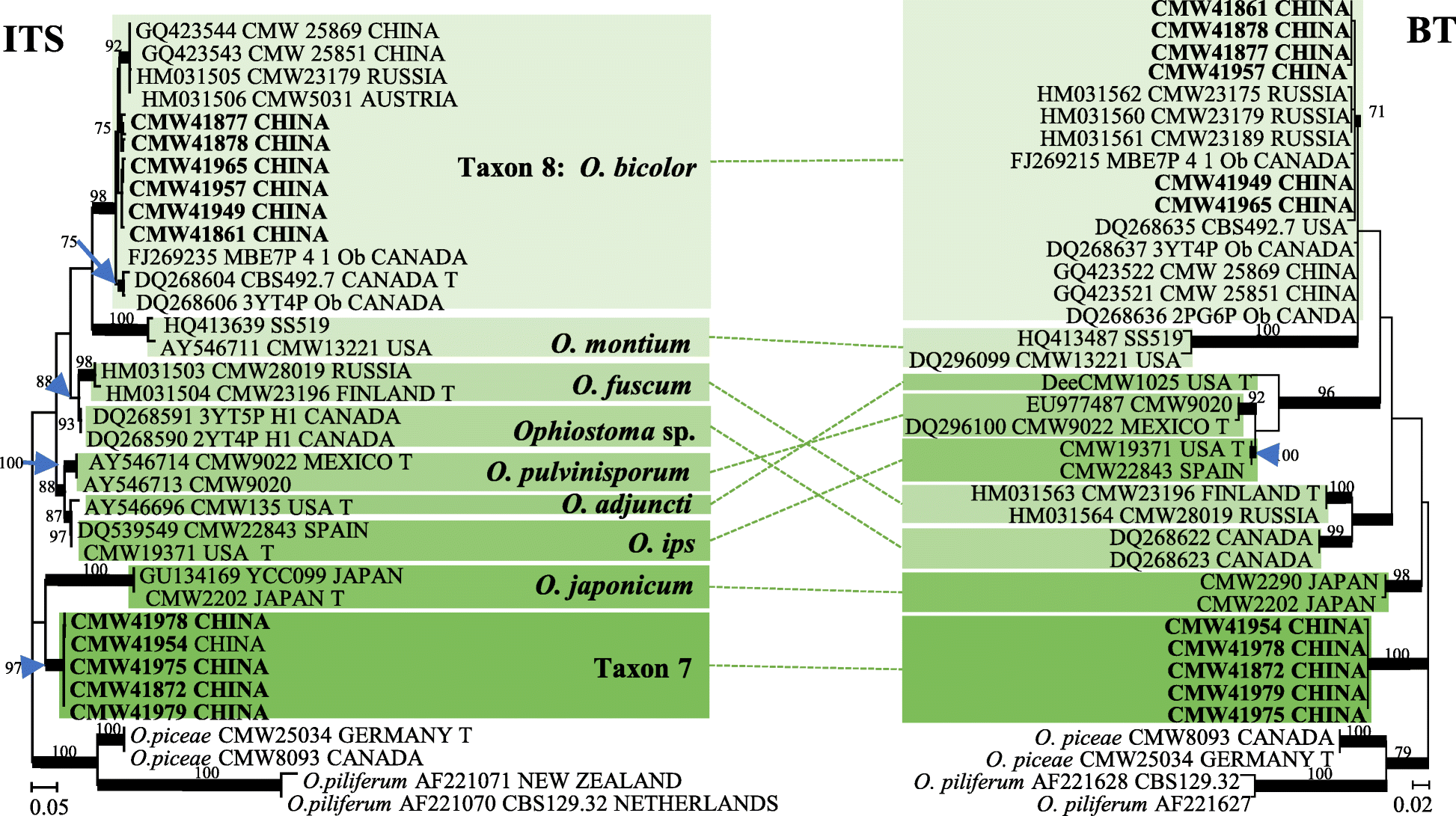 Fig. 4