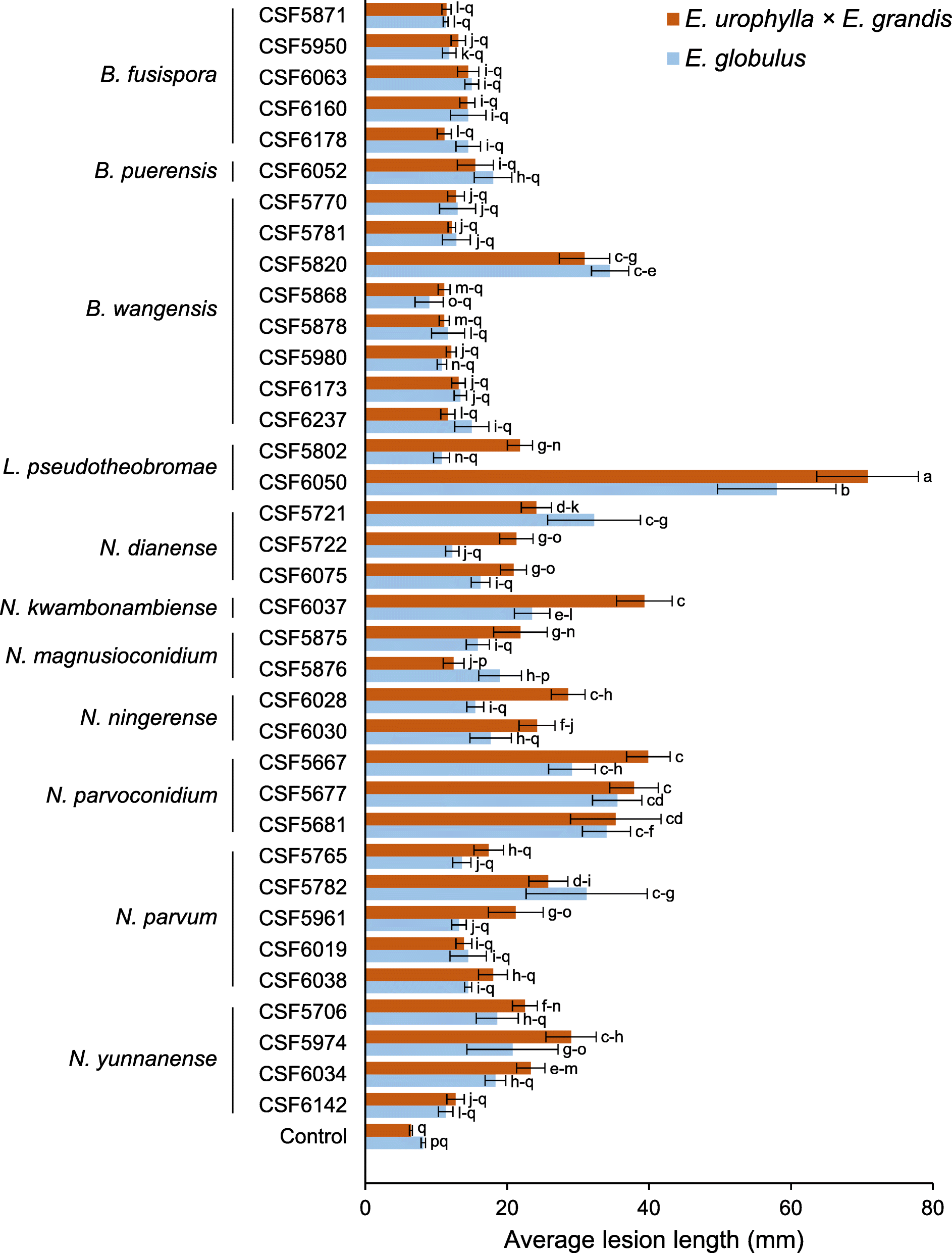 Fig. 12