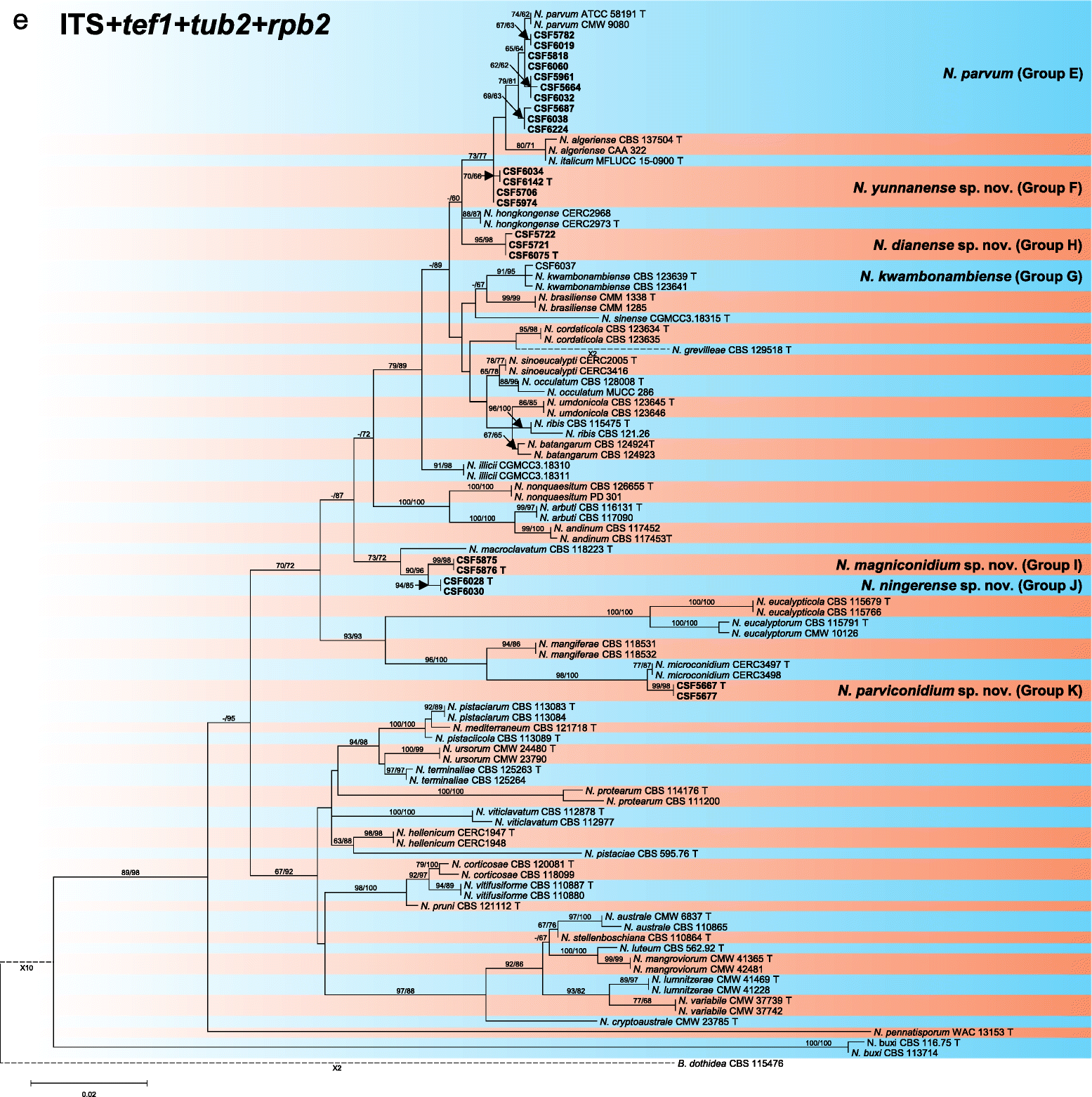 Fig. 4