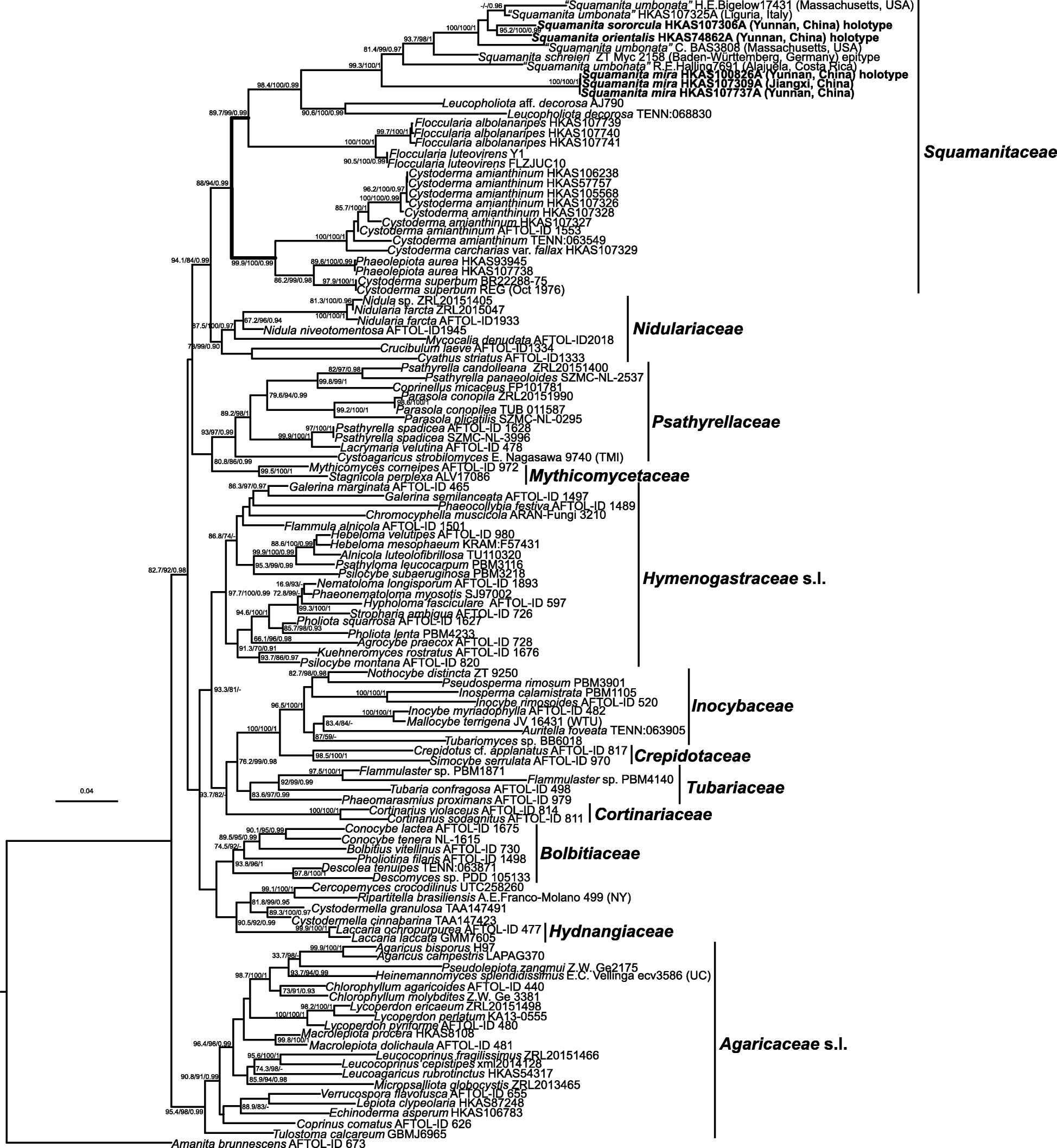 Fig. 2