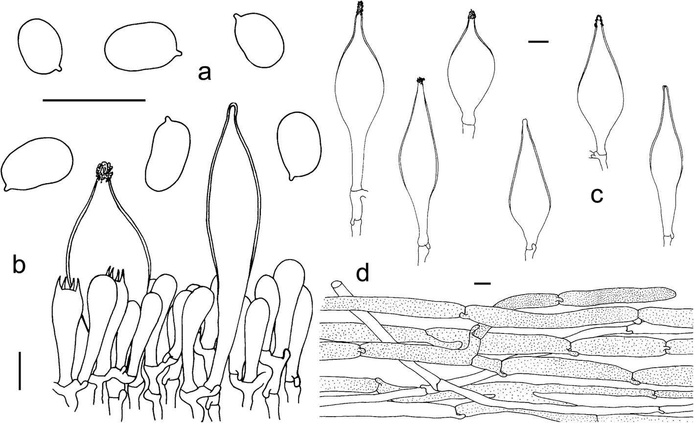 Fig. 9