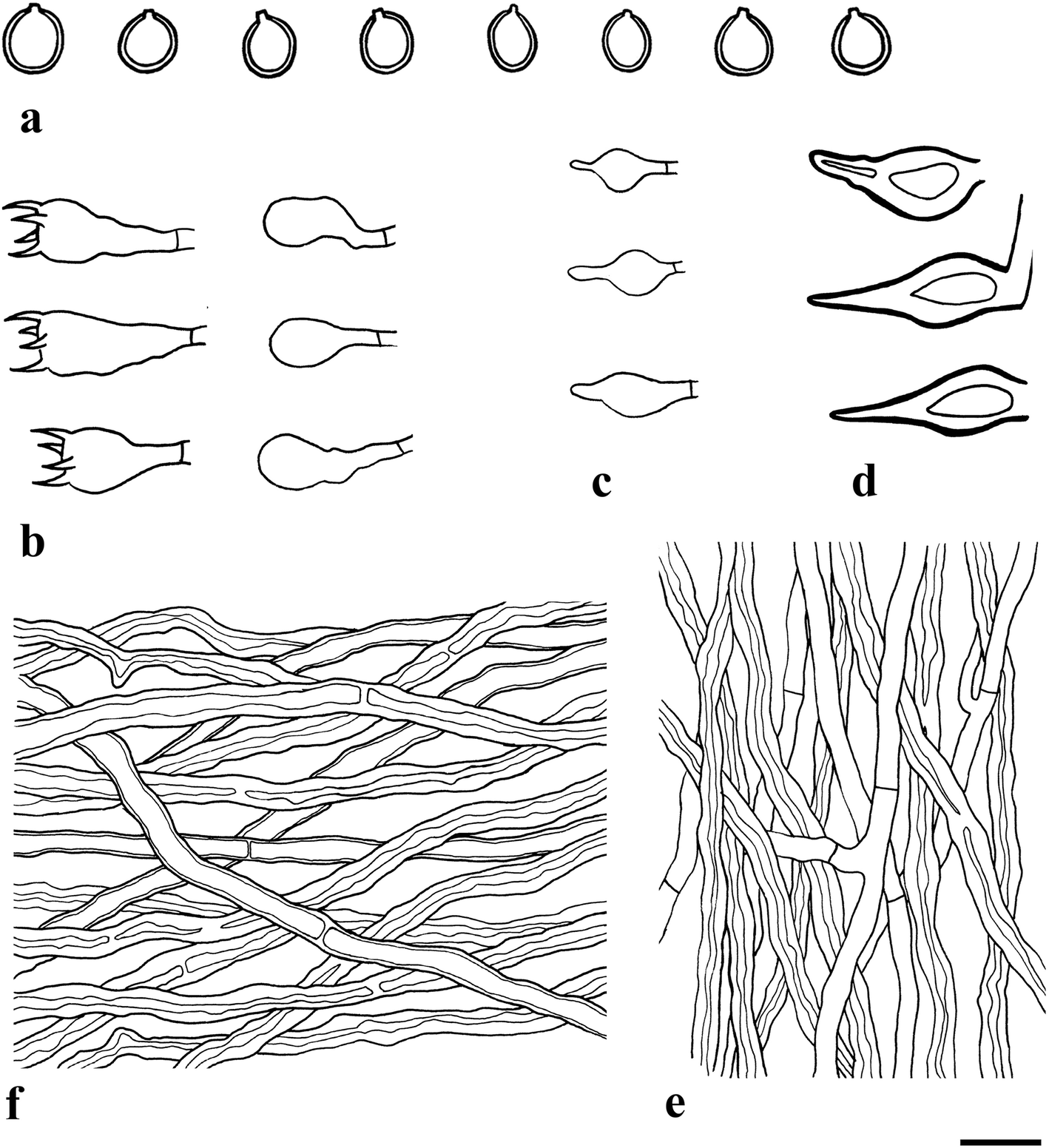 Fig. 4