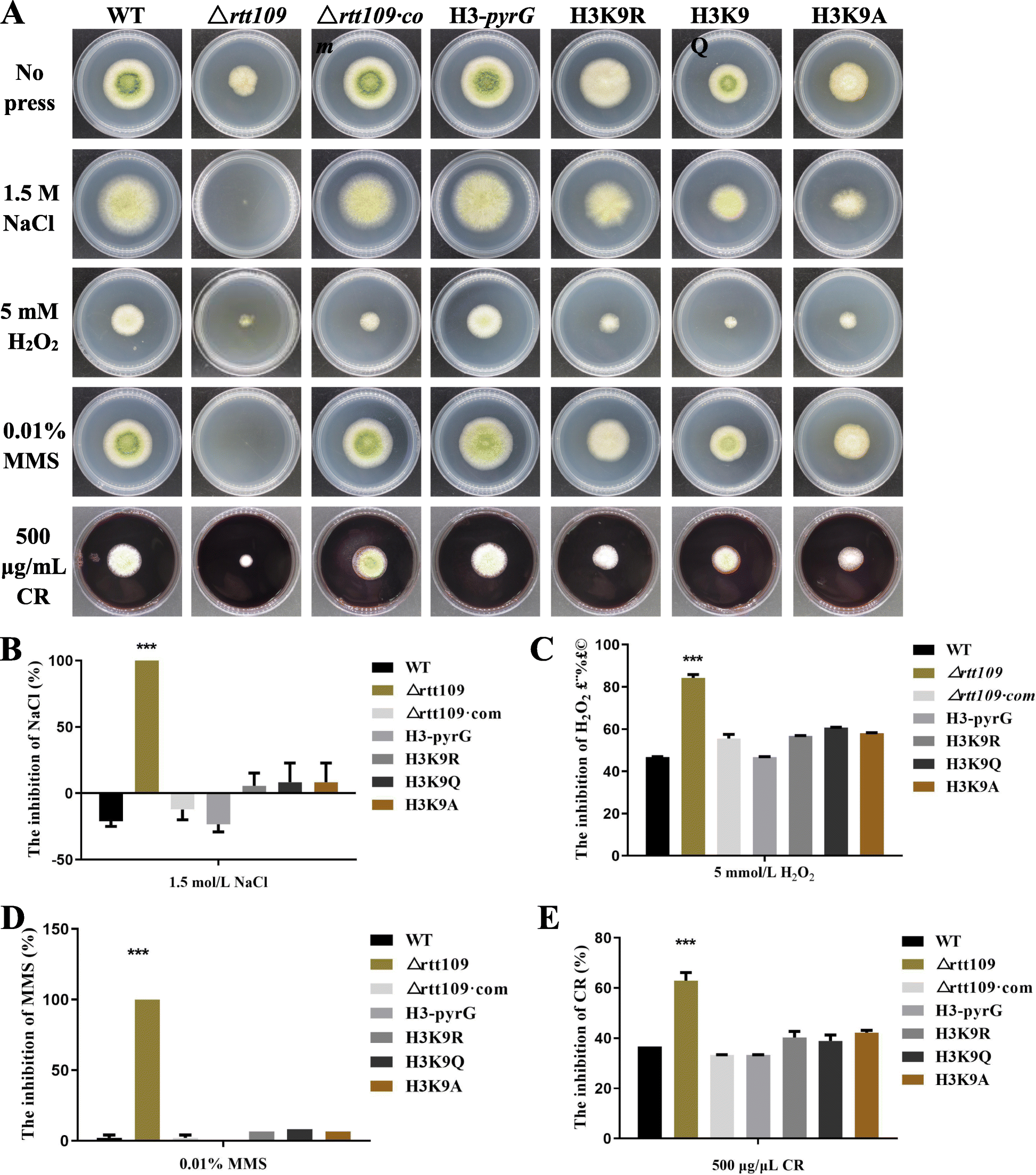 Fig. 8