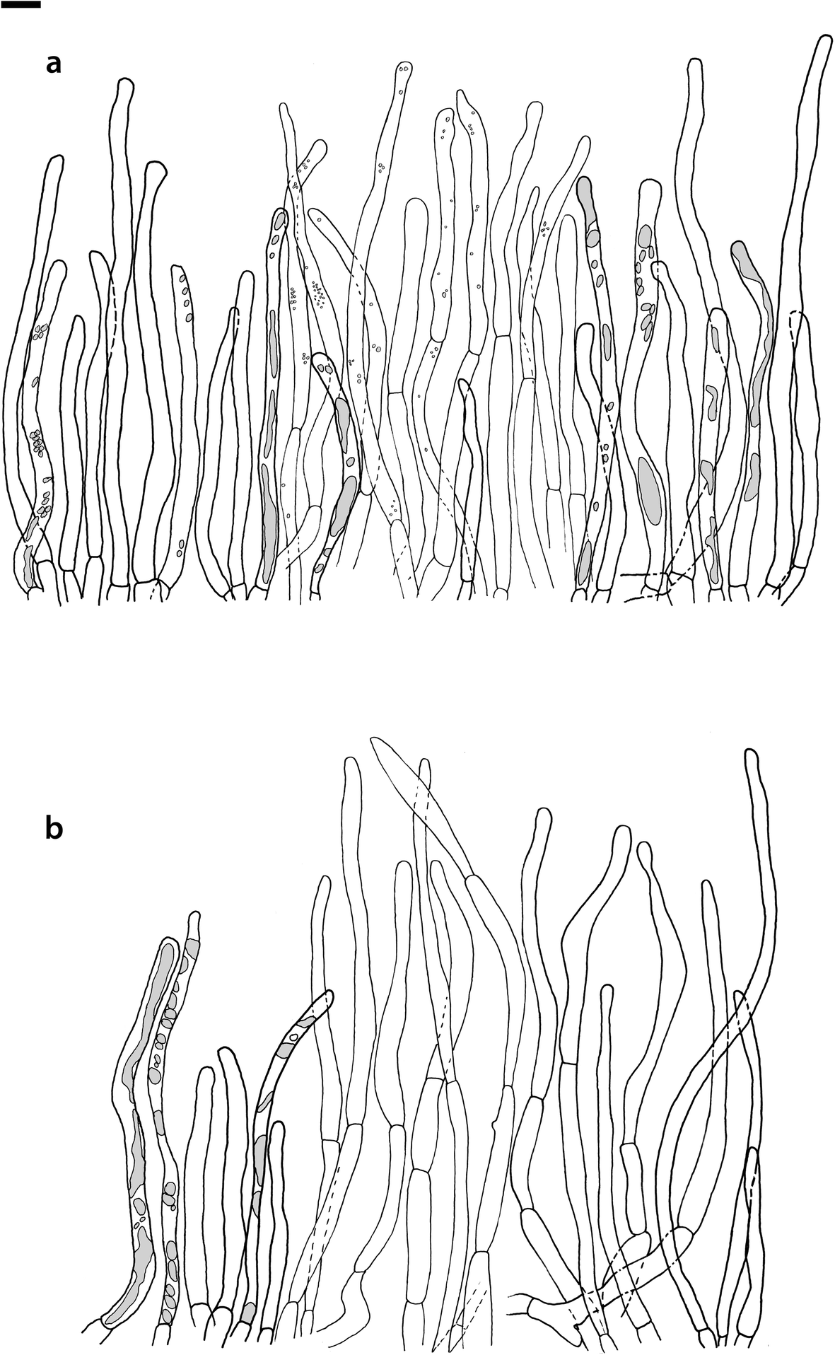 Fig. 12