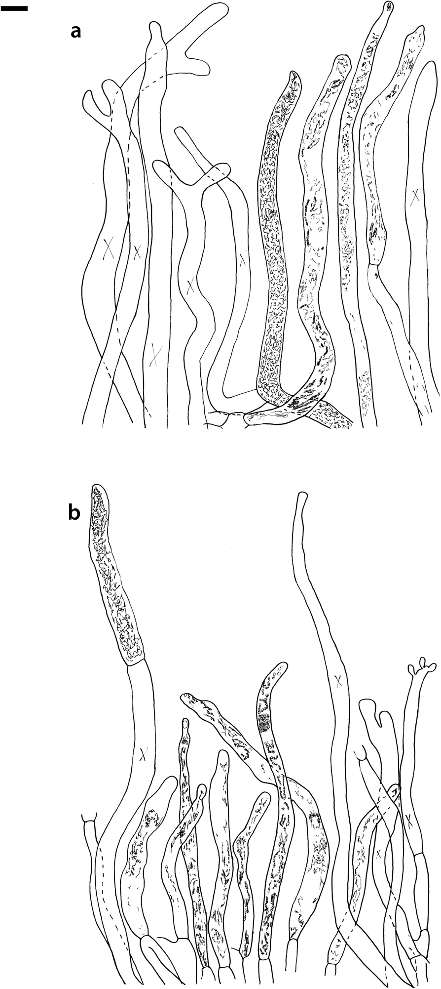 Fig. 18