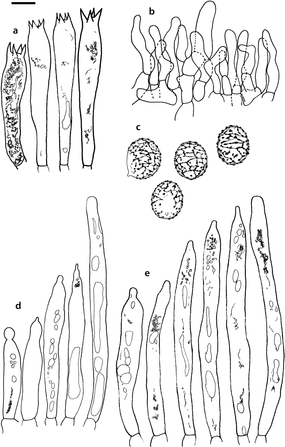 Fig. 4