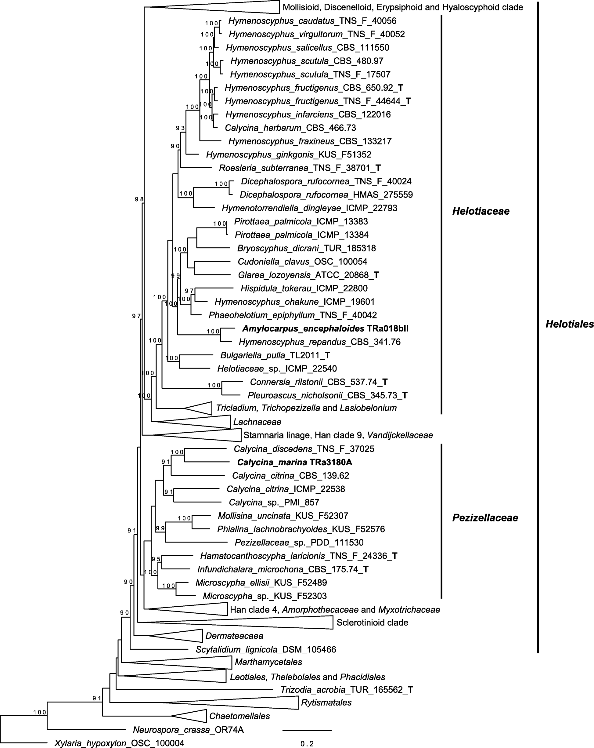 Fig. 6