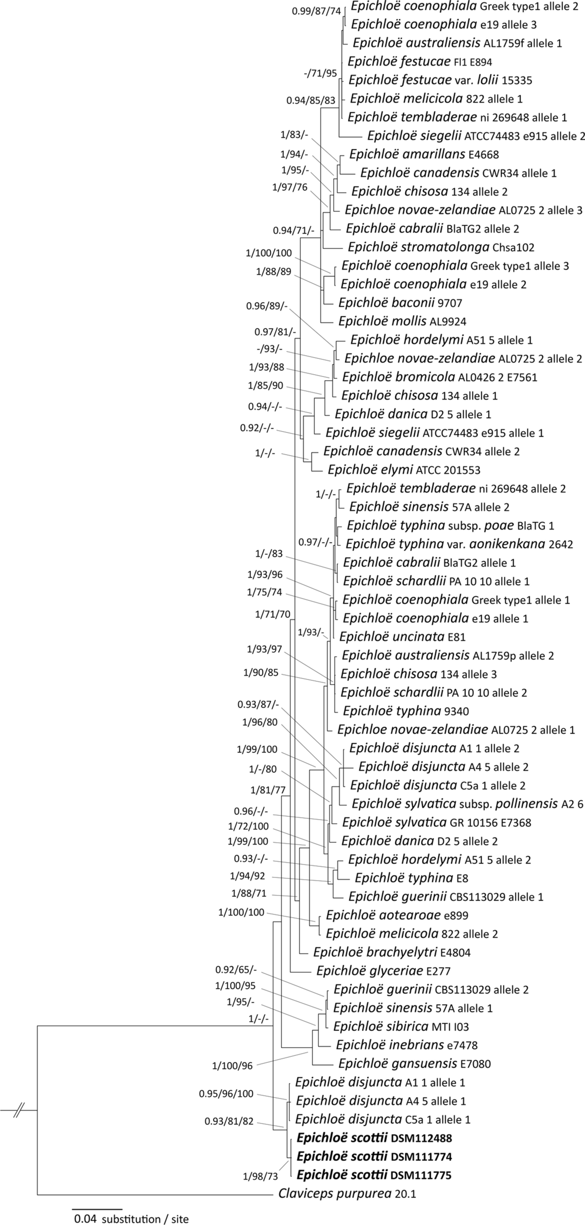 Fig. 4