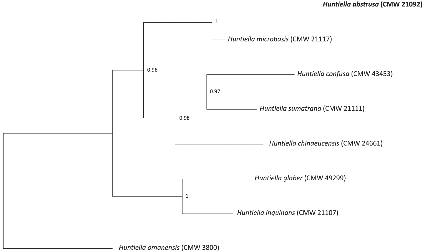 Fig. 2