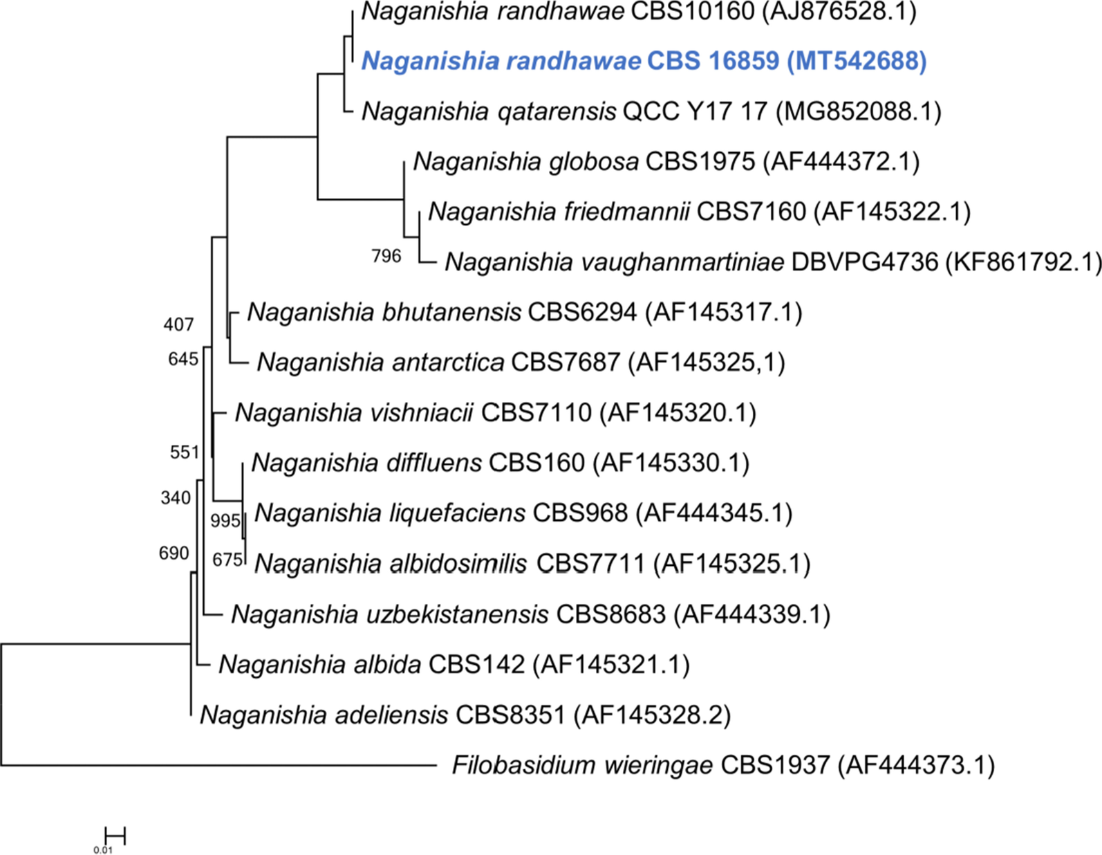 Fig. 6