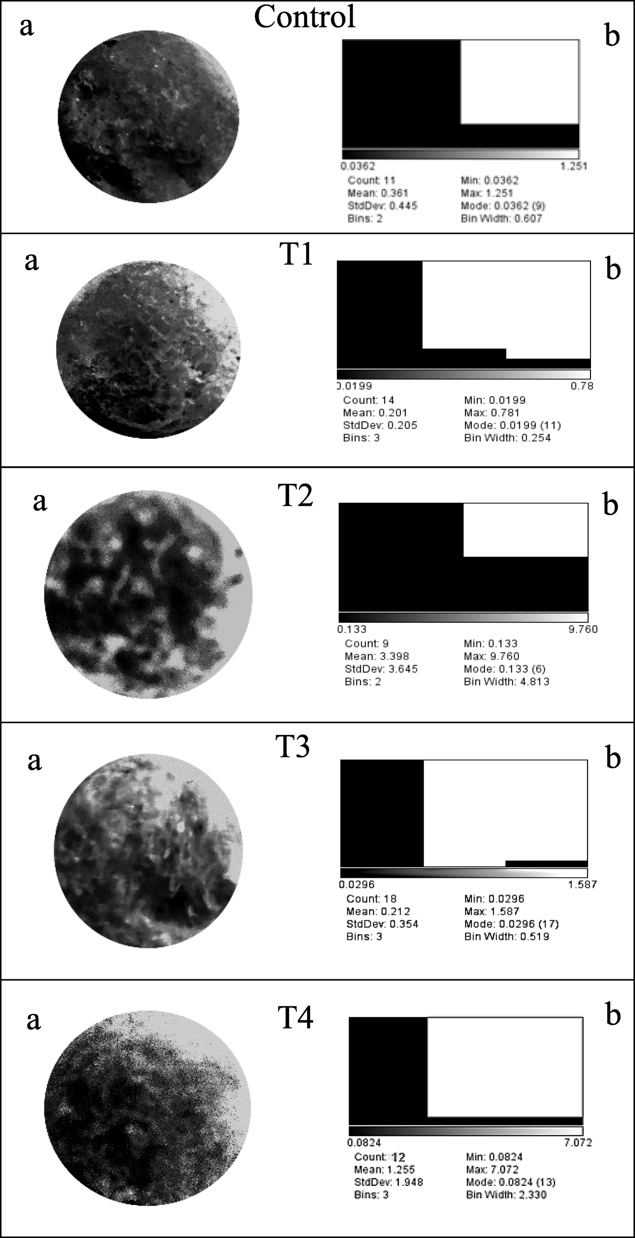 Fig. 5