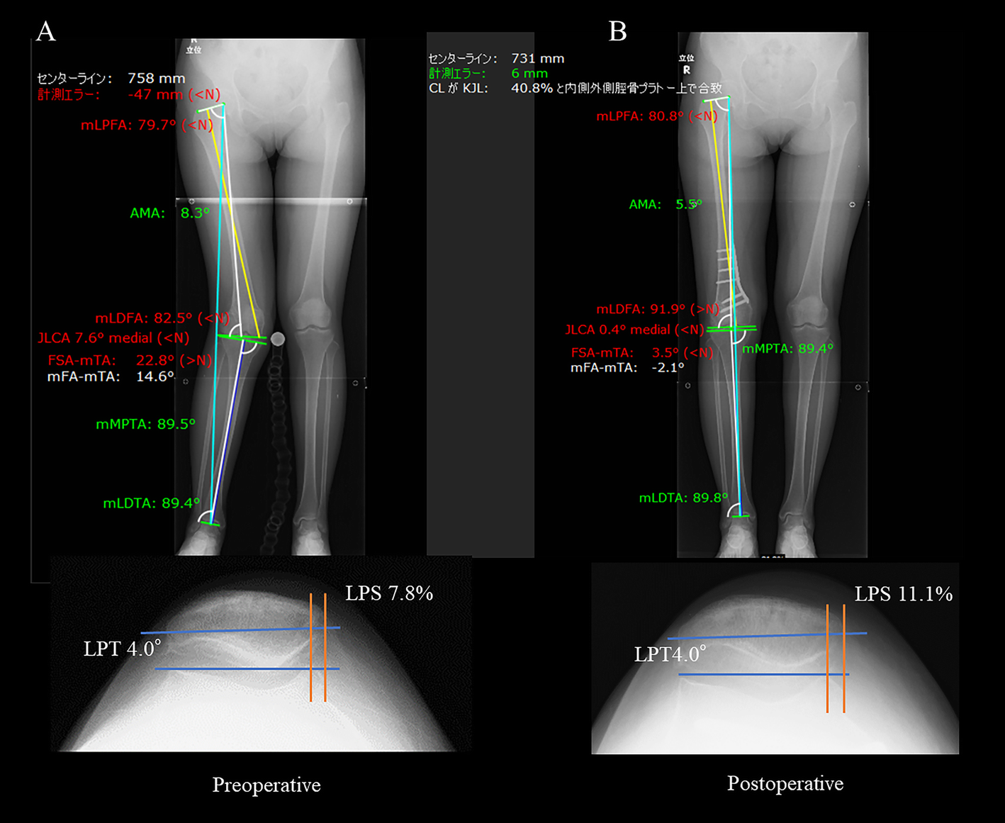 Fig. 4