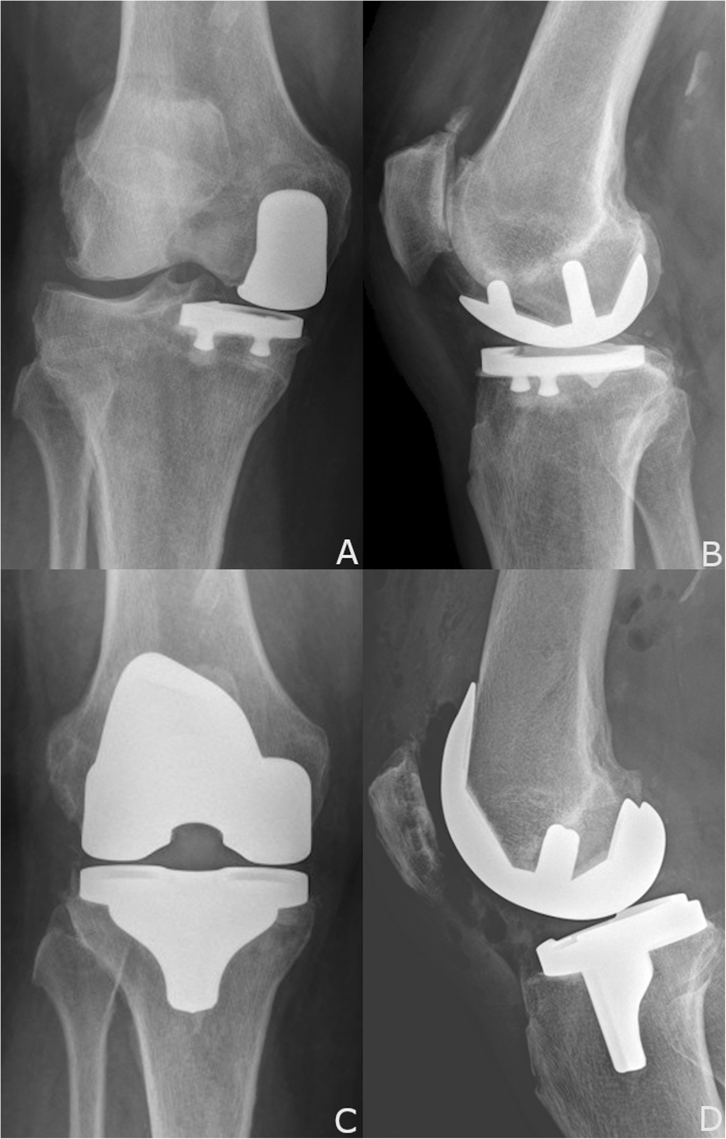 Fig. 5