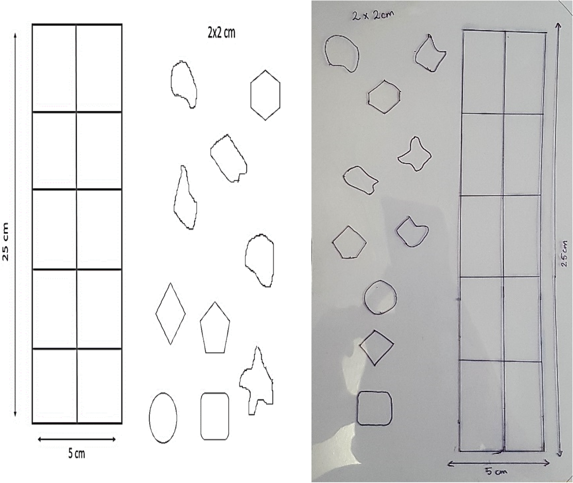 Fig. 2