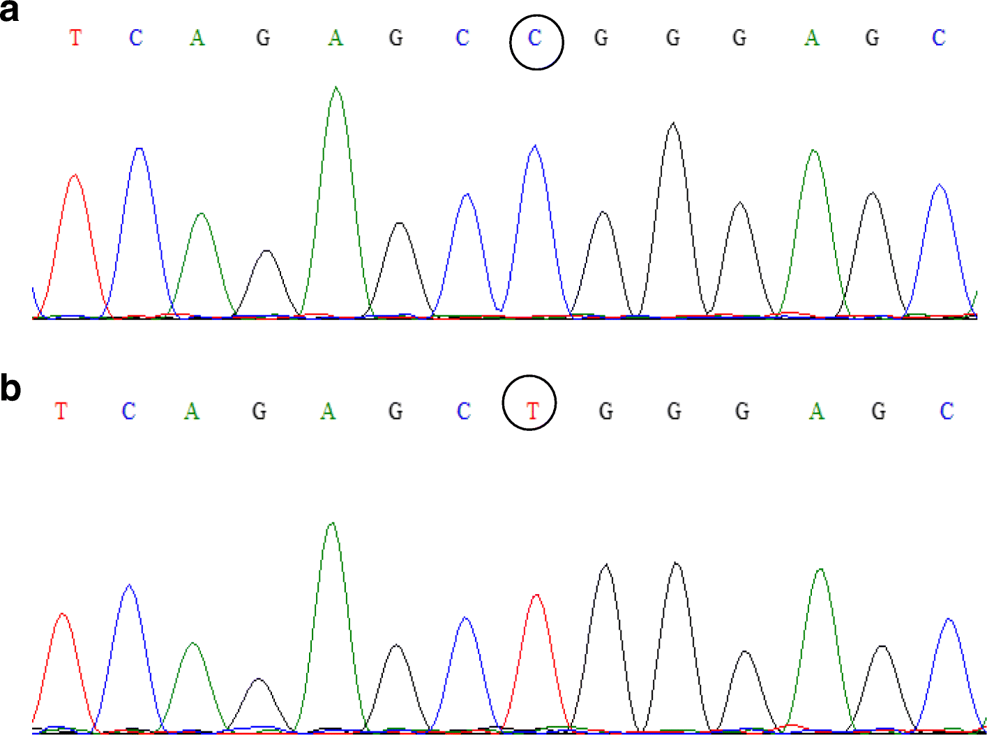 Fig. 7