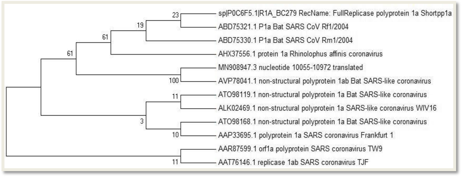 Fig. 10