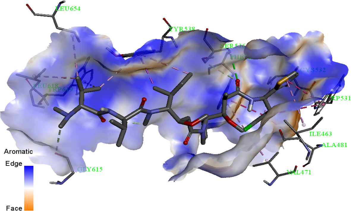 Fig. 6