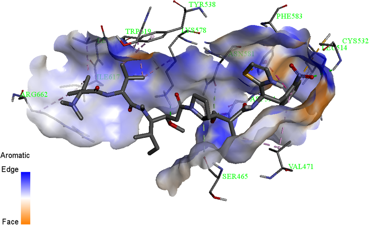 Fig. 7