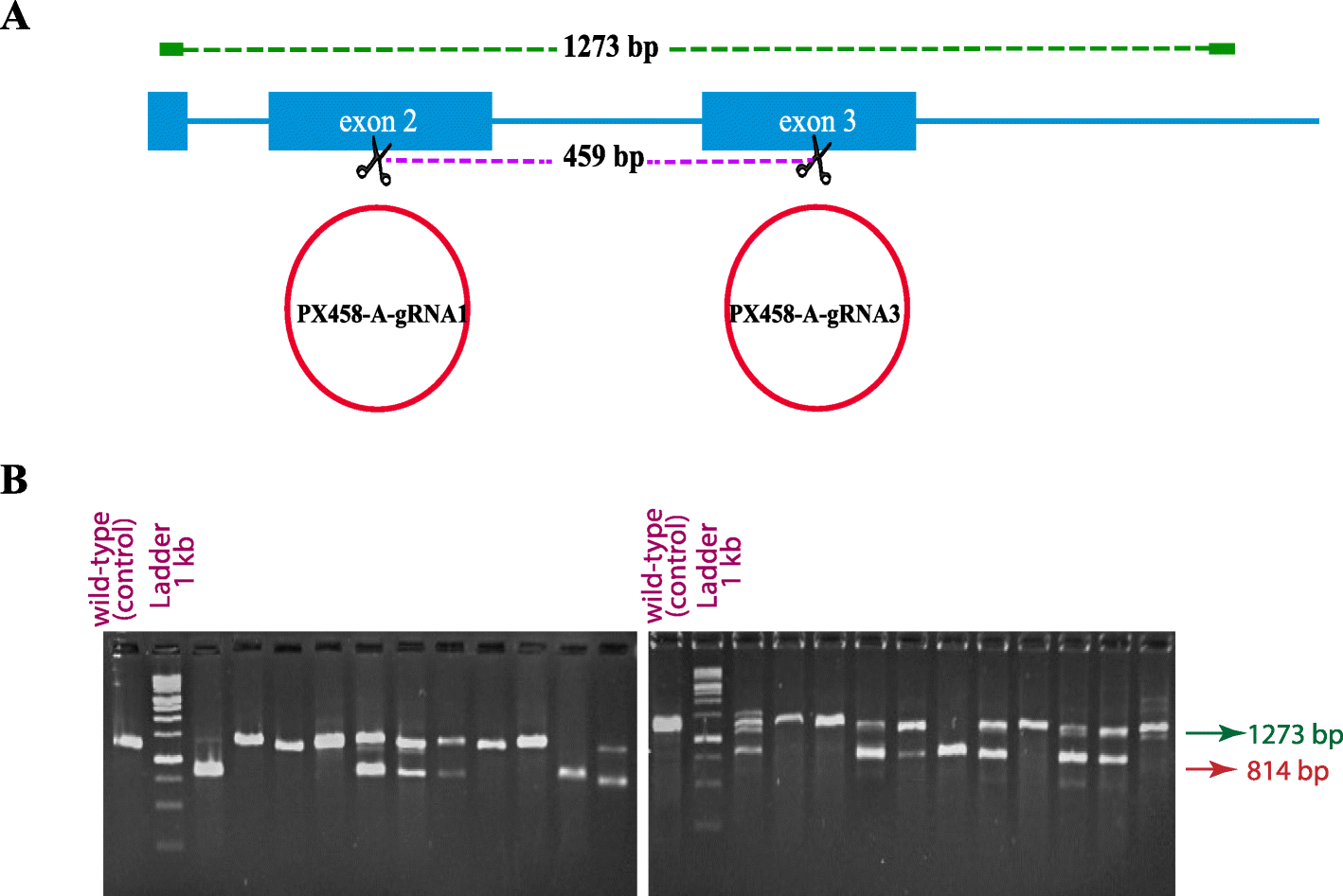 Fig. 4