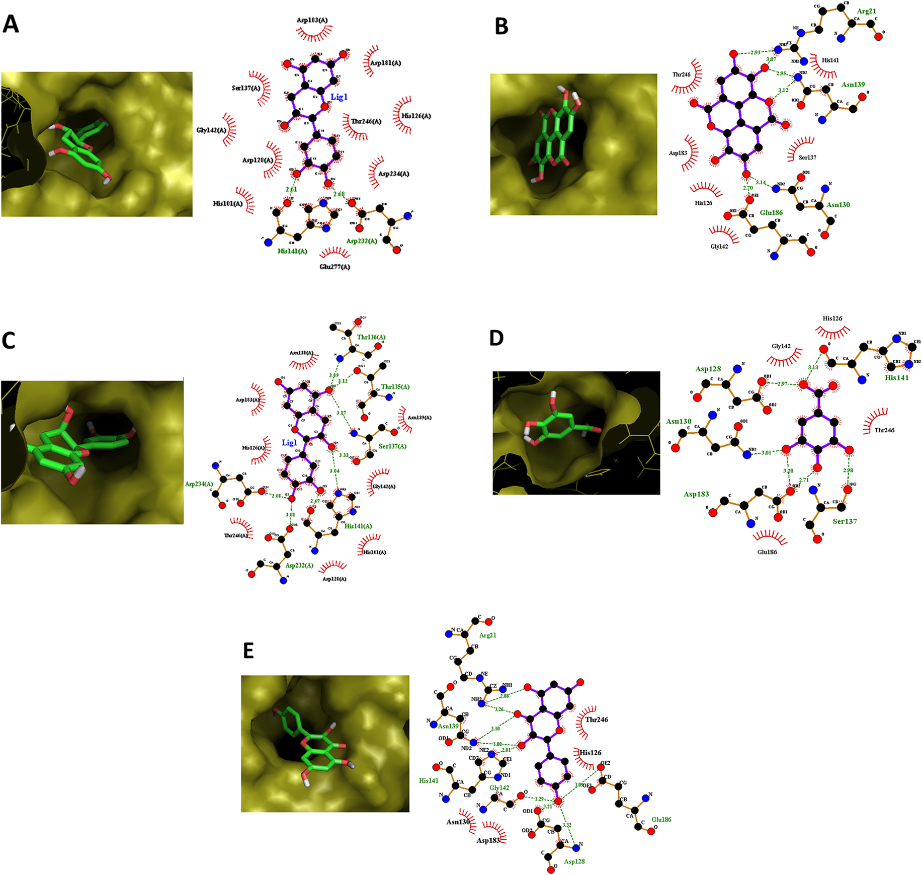 Fig. 8