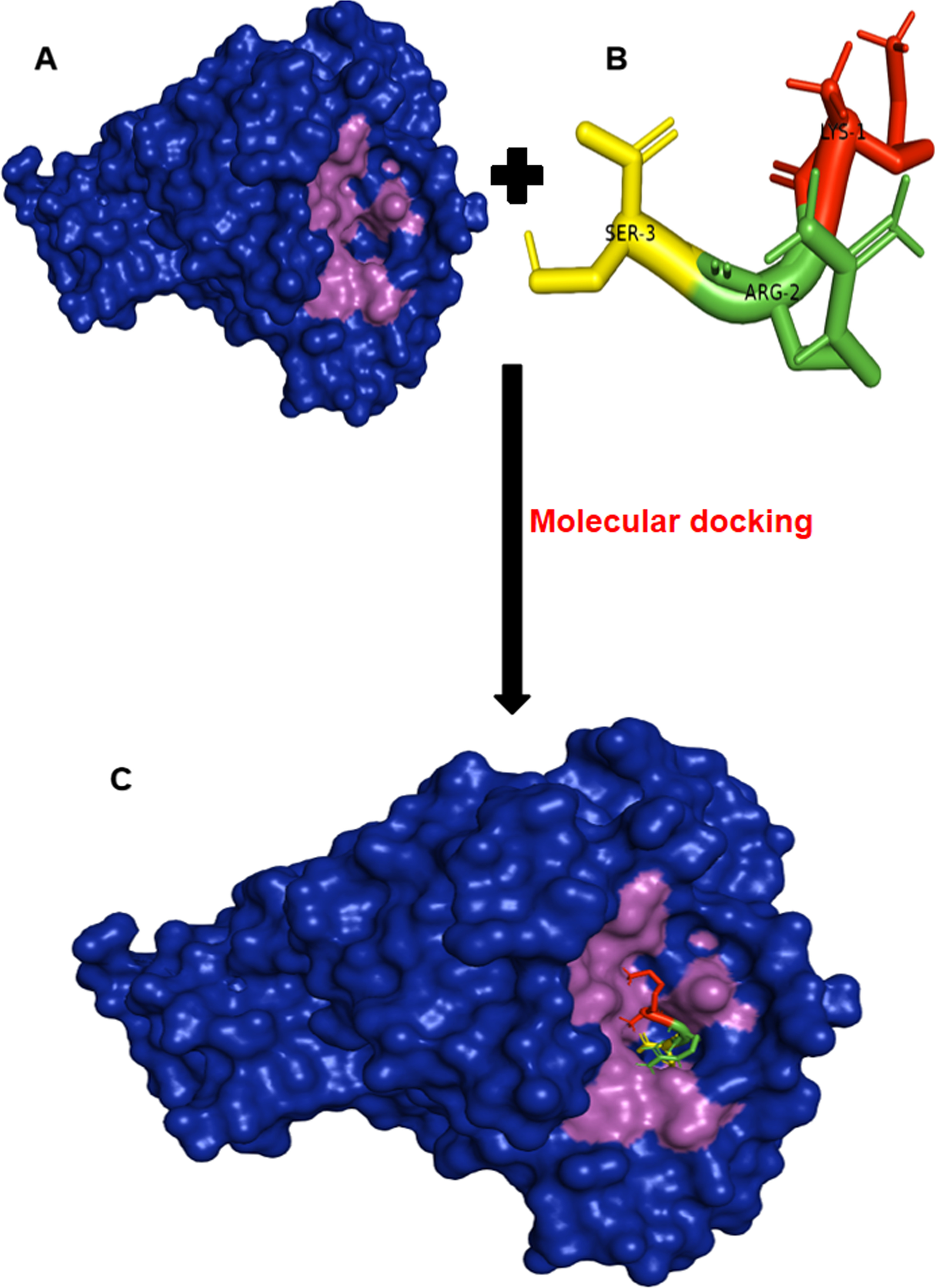 Fig. 3