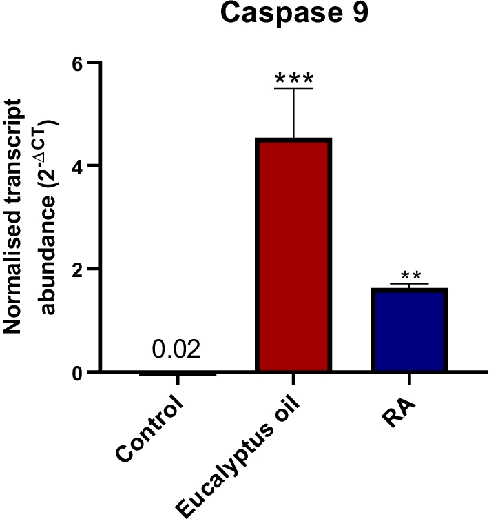 Fig. 5