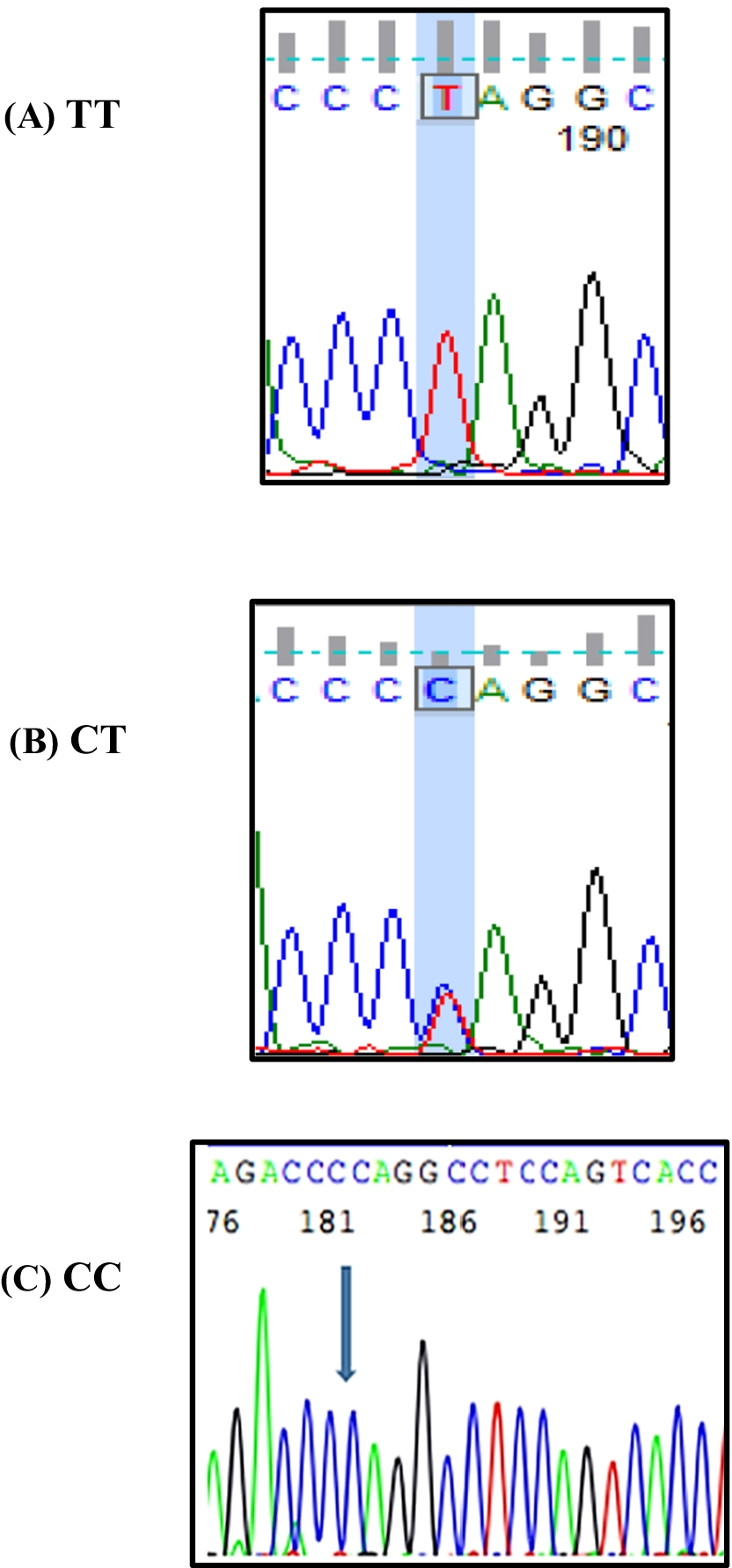 Fig. 9 