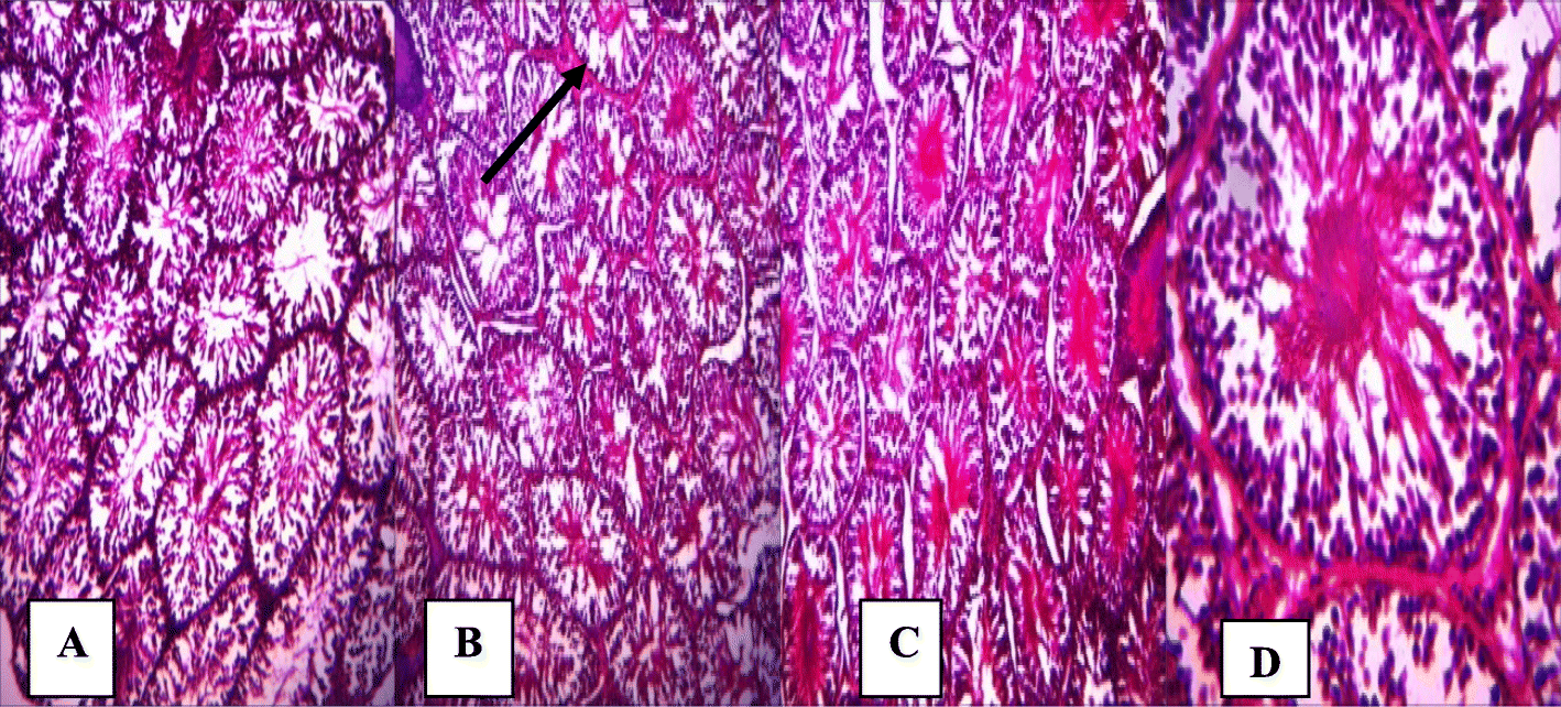 Fig. 10