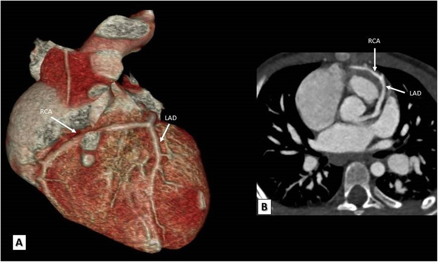 Fig. 5