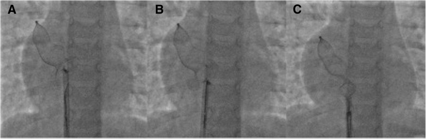 Fig. 5