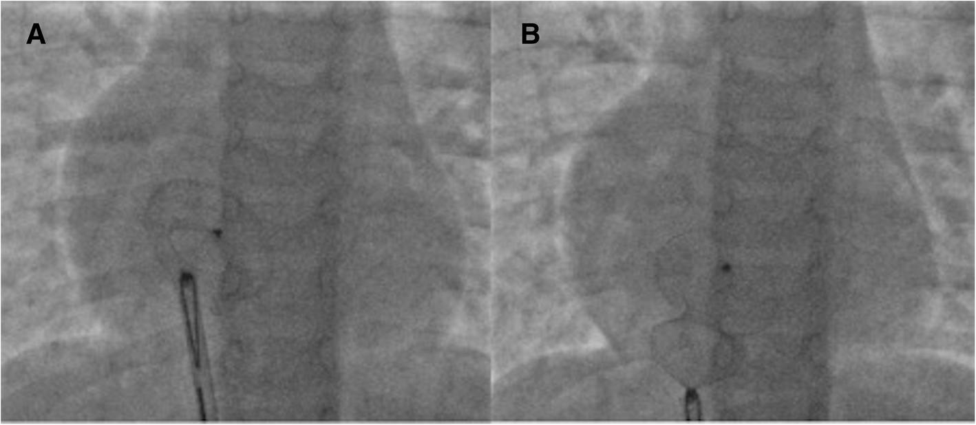 Fig. 6