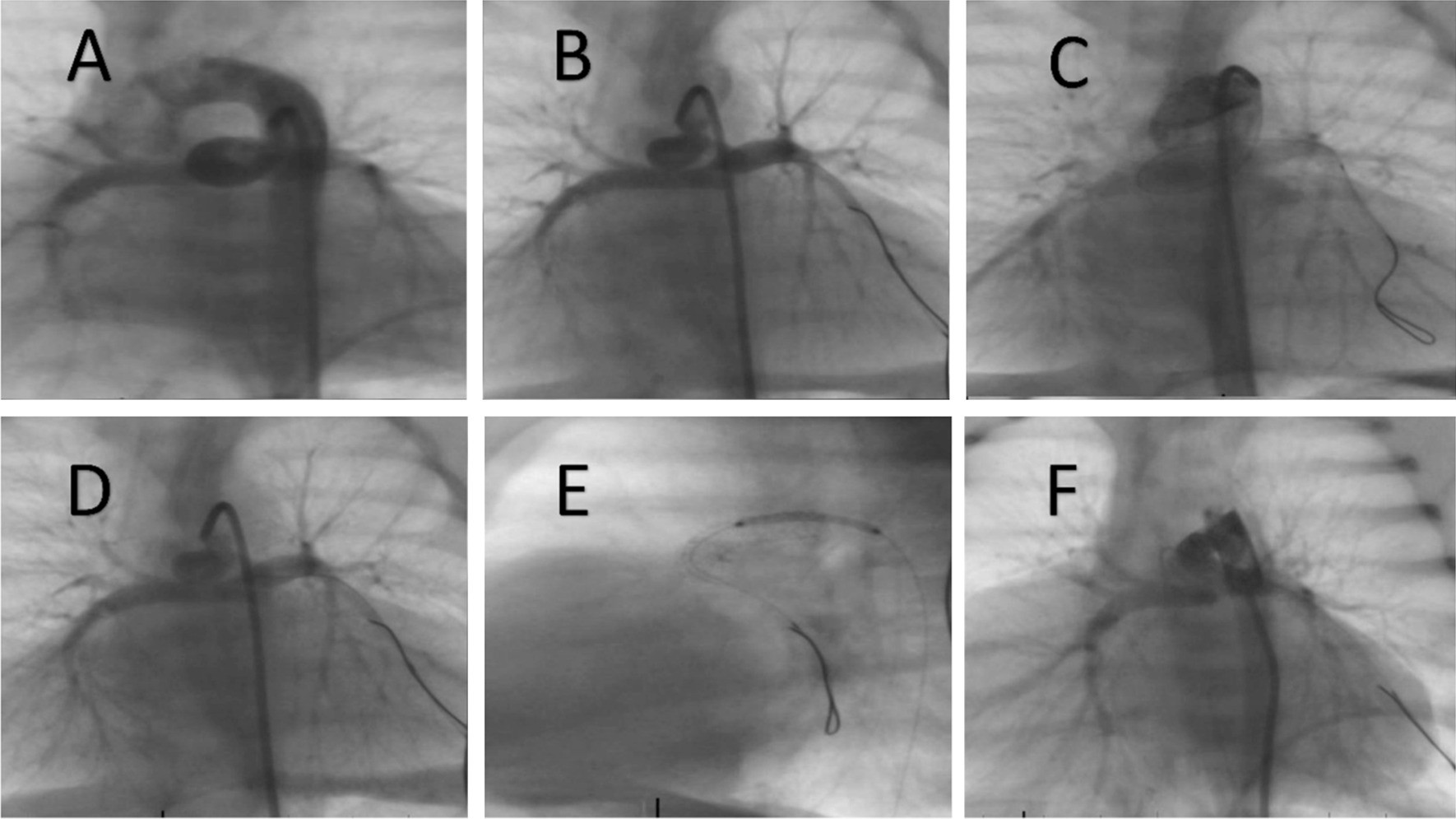 Fig. 5