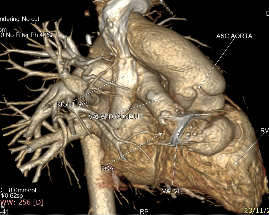 Fig. 8