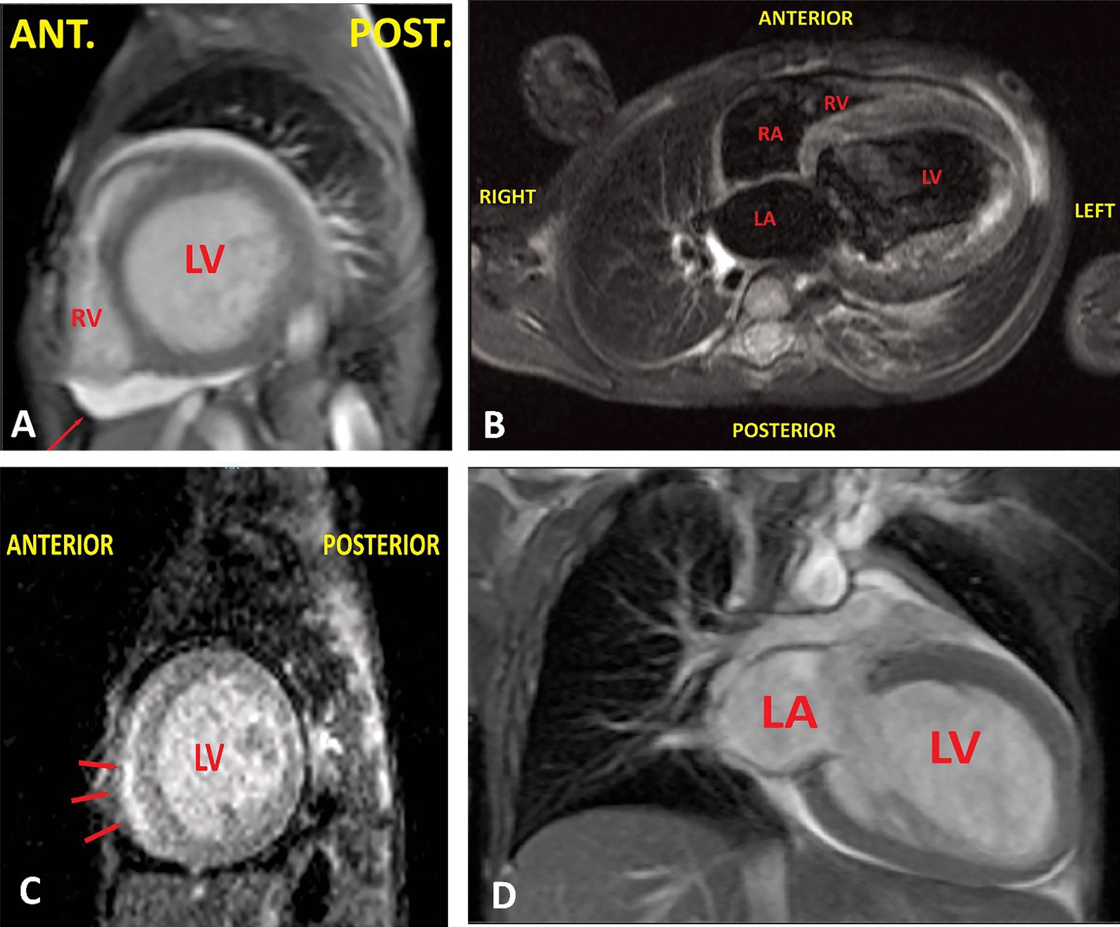 Fig. 8