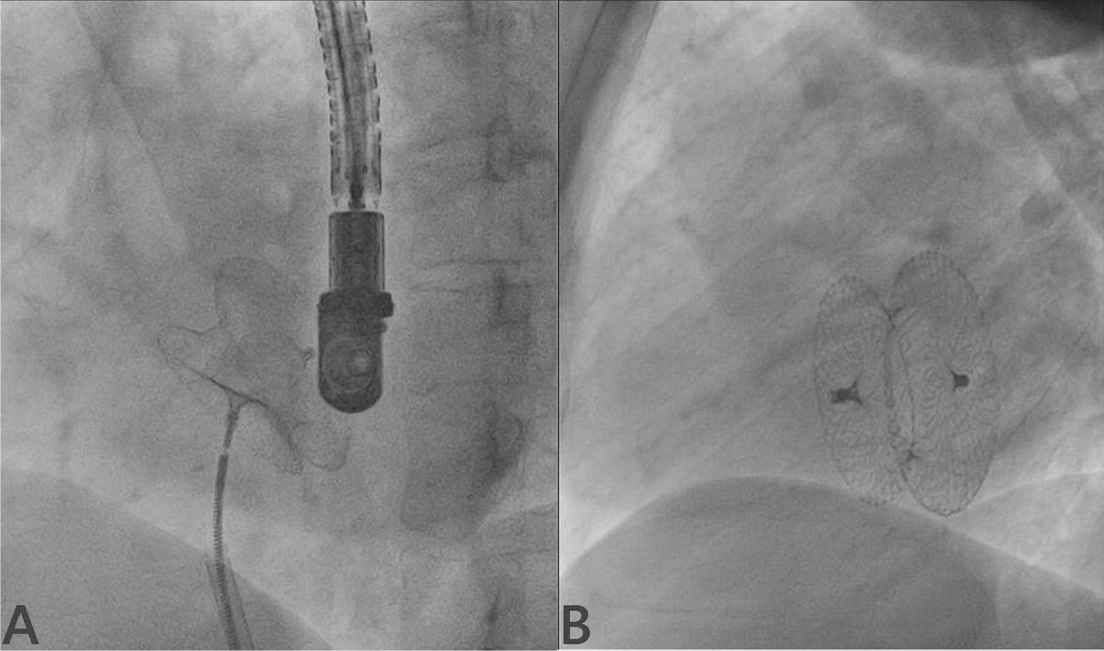 Fig. 6