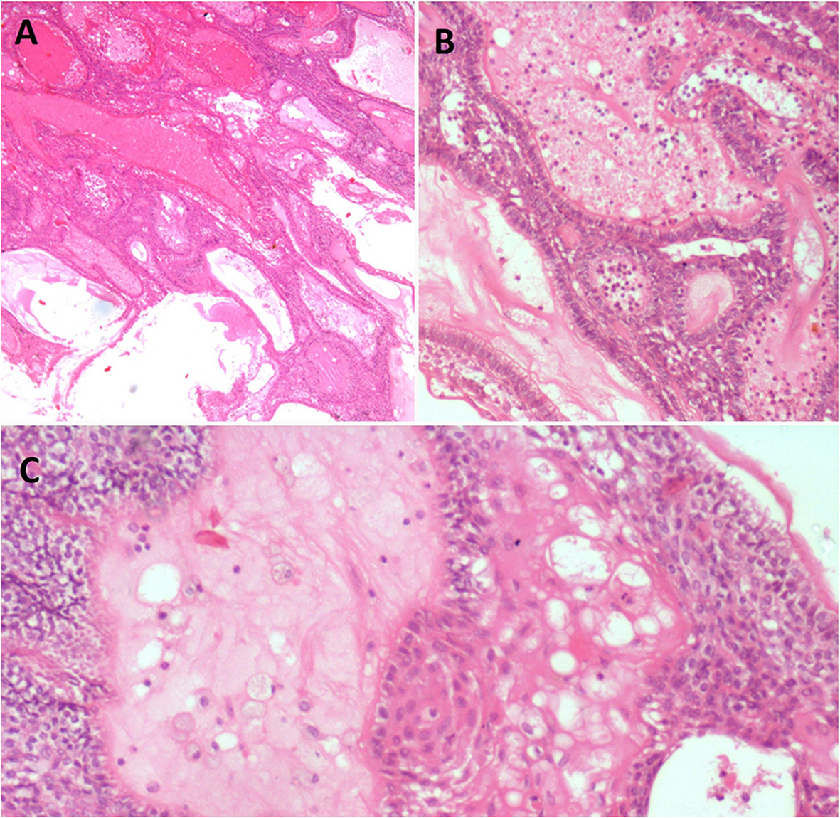 Fig. 3