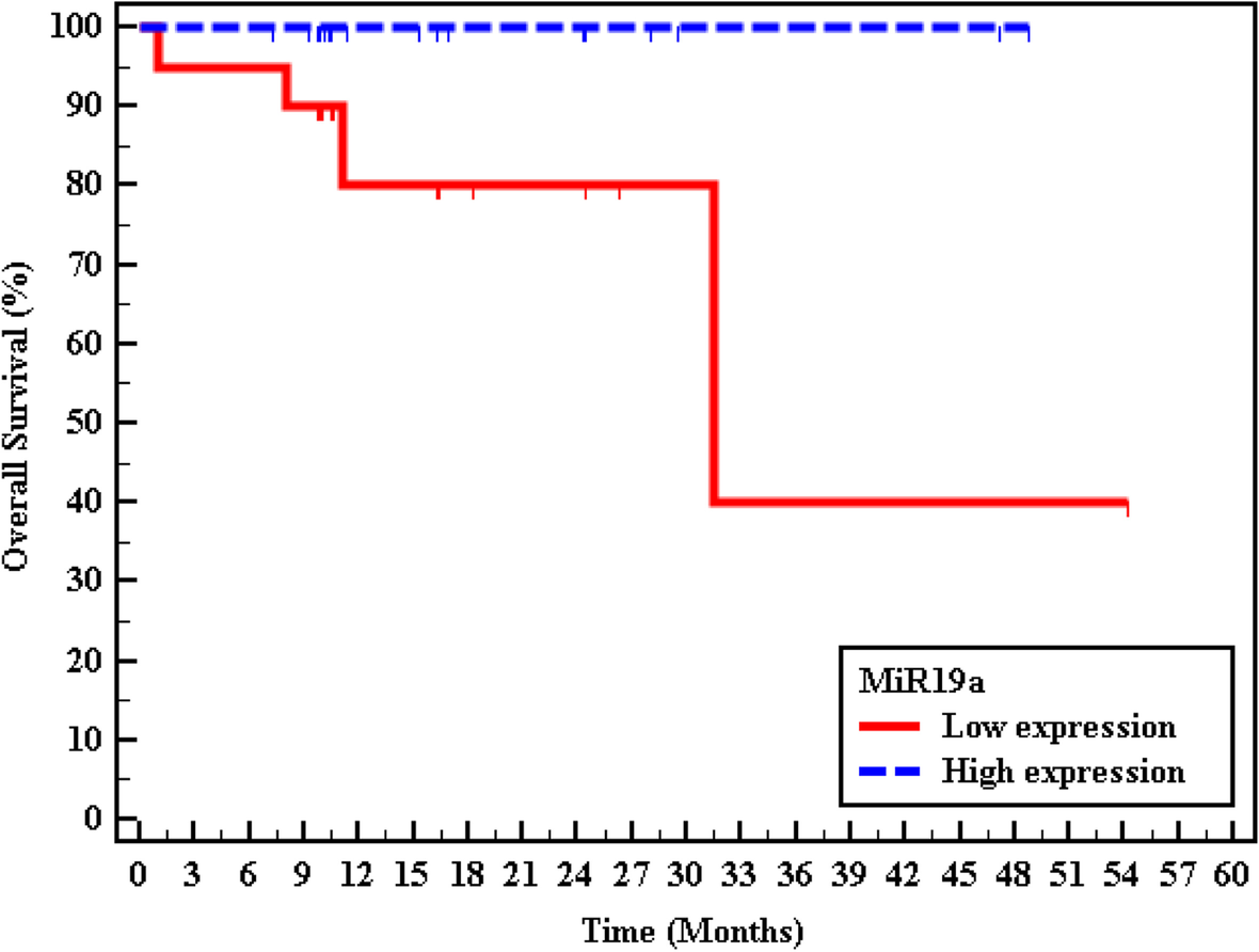 Fig. 14