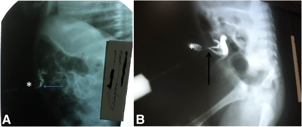 Fig. 8