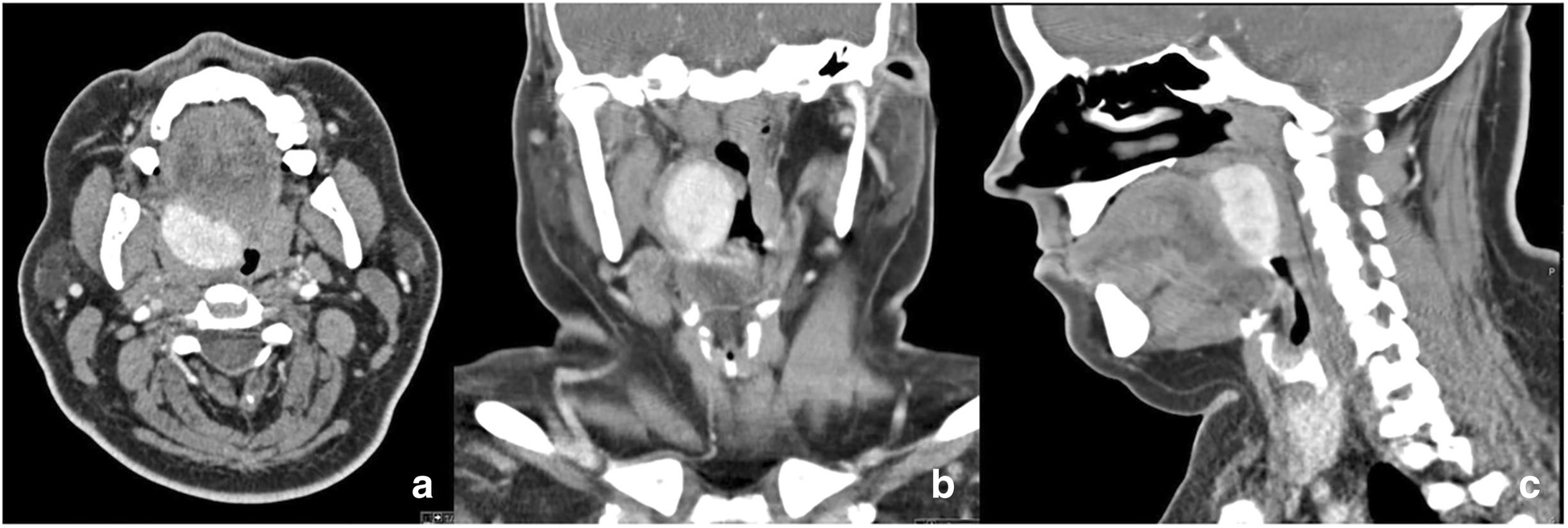 Fig. 7