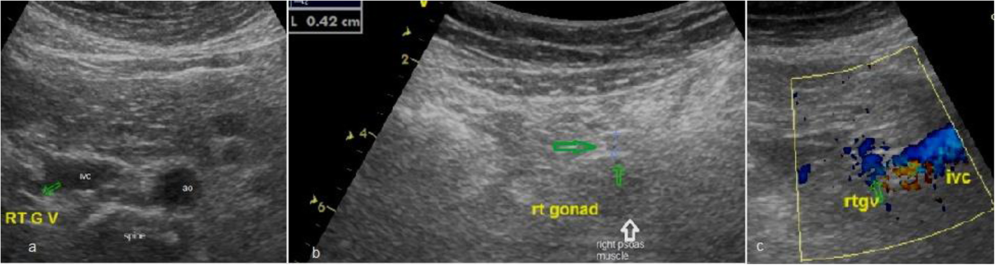 Fig. 5