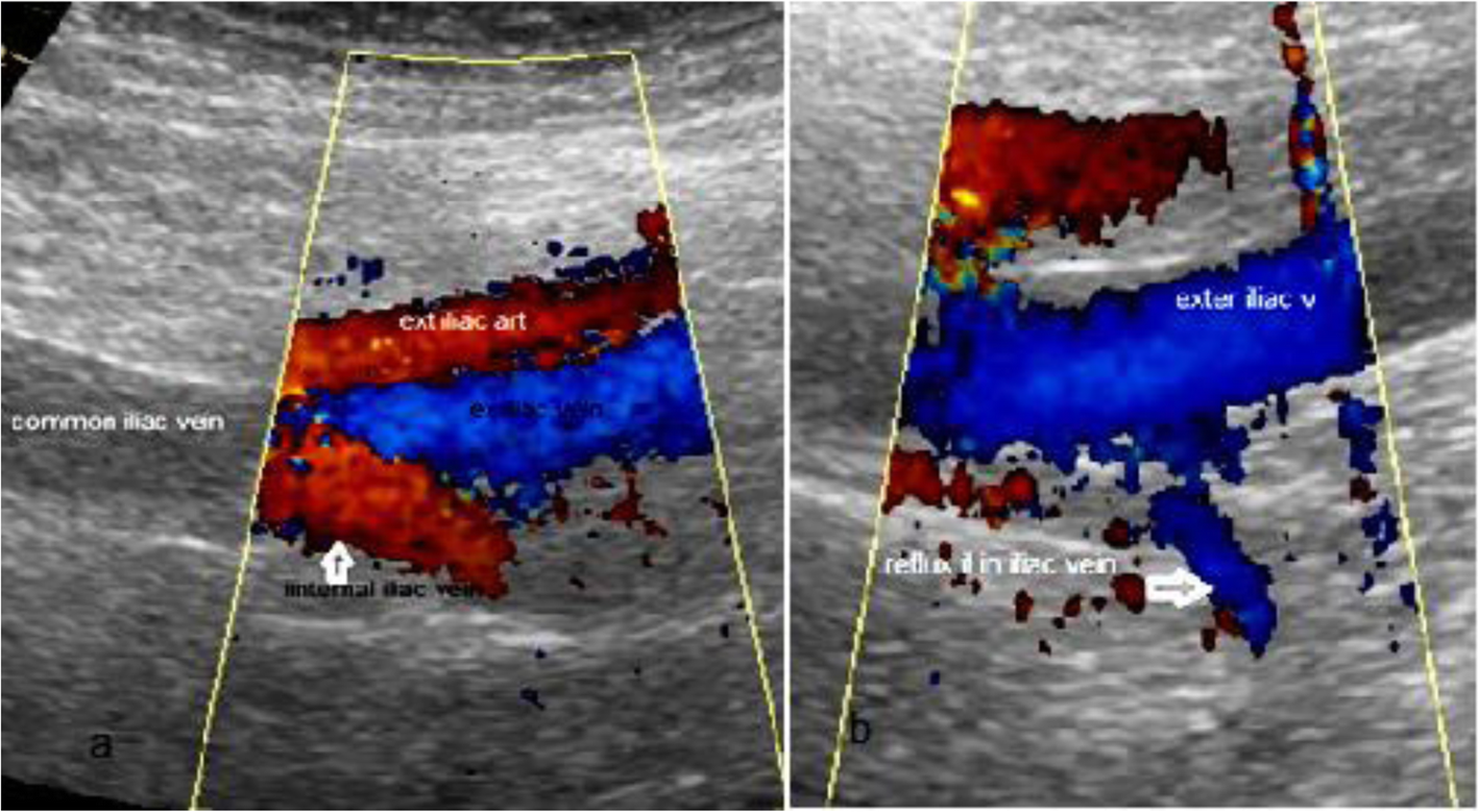 Fig. 7